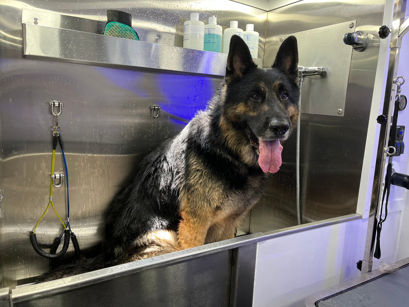 Resultado de grooming 1