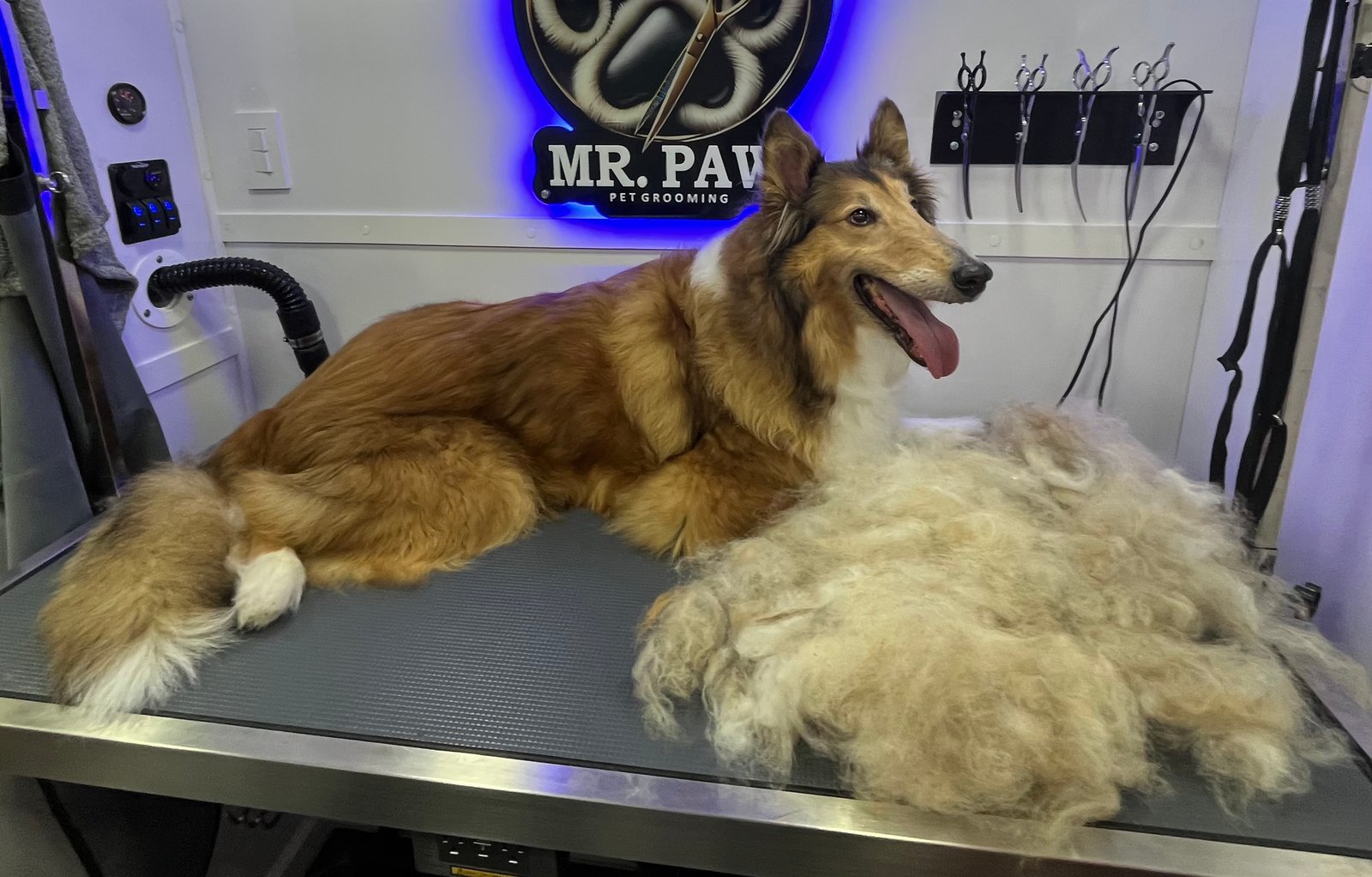 Resultado de grooming 2