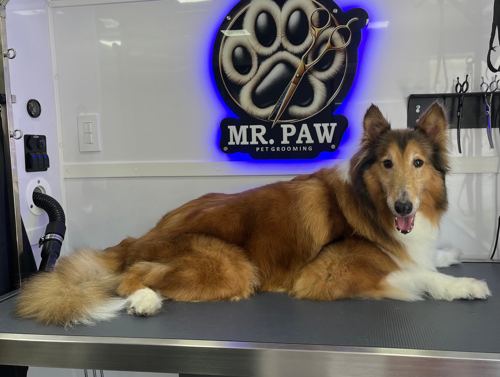 Resultado de grooming 3