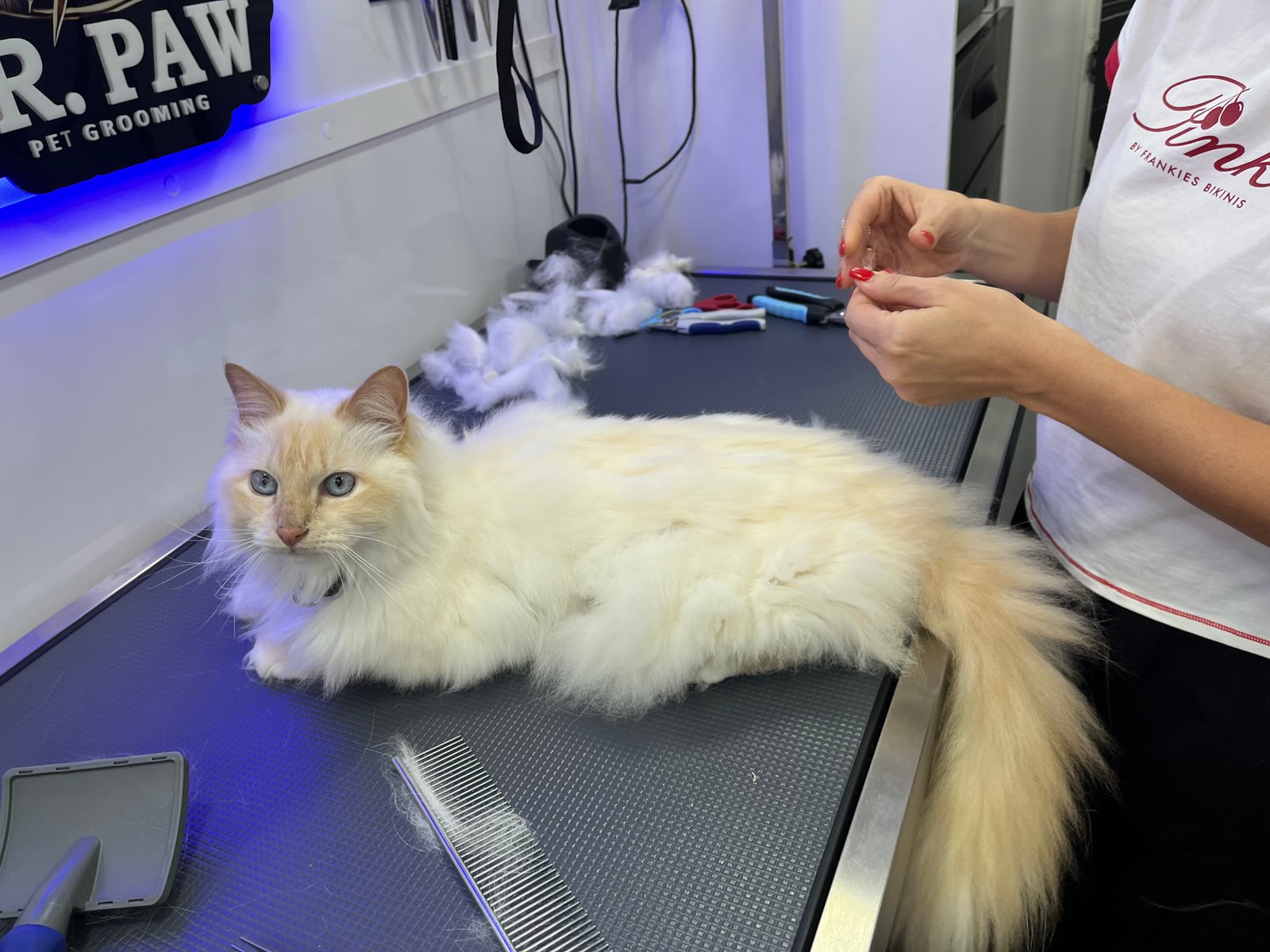 Resultado de grooming 1