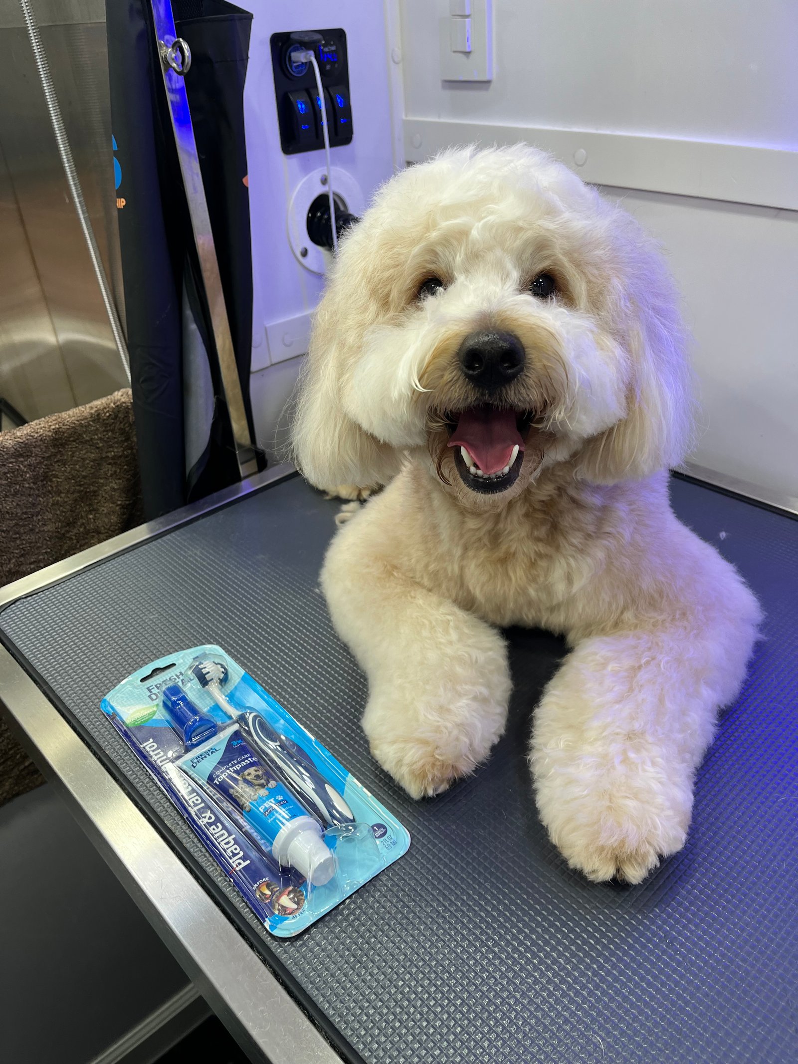 Resultado de grooming 6