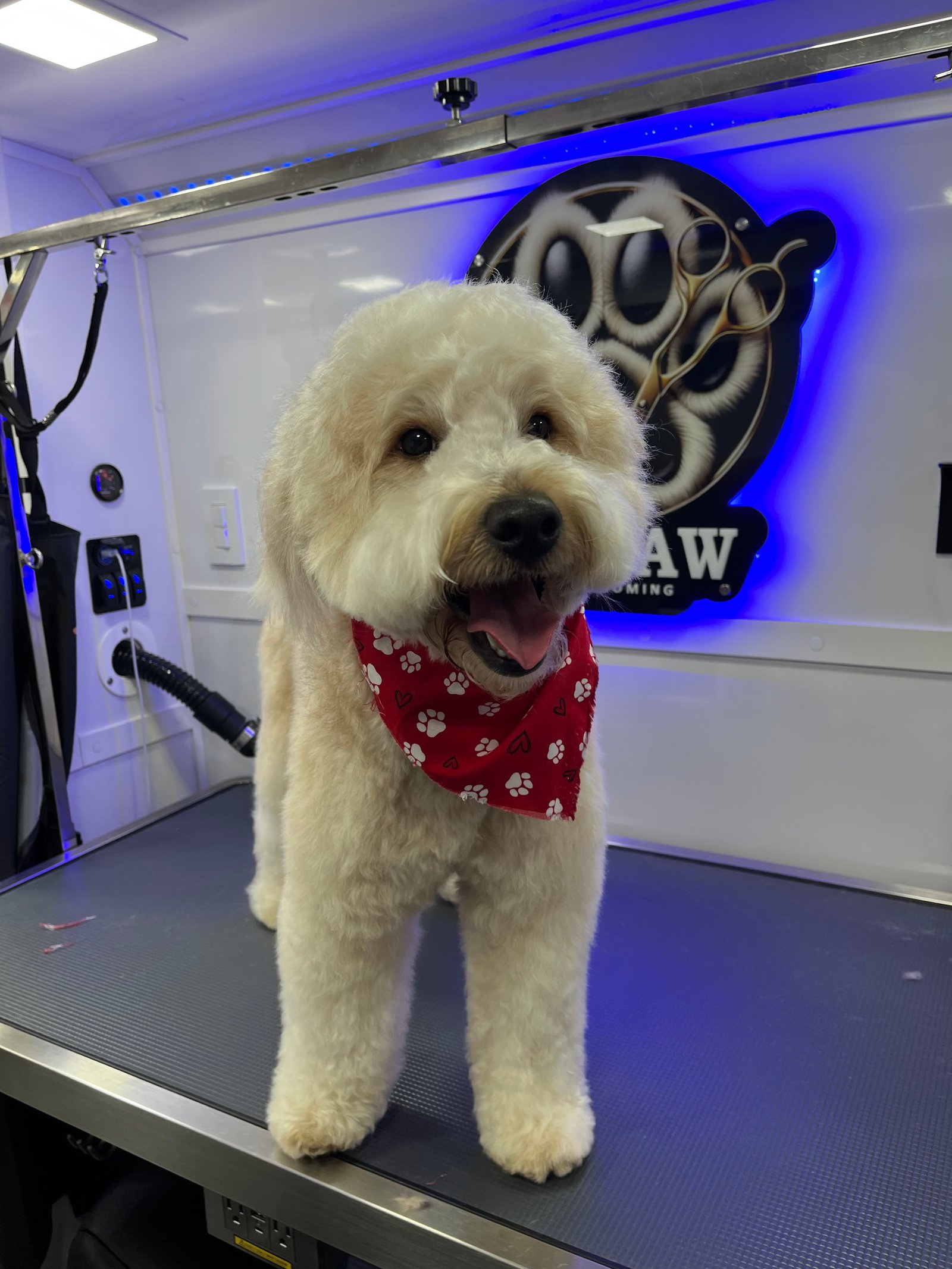 Resultado de grooming 3