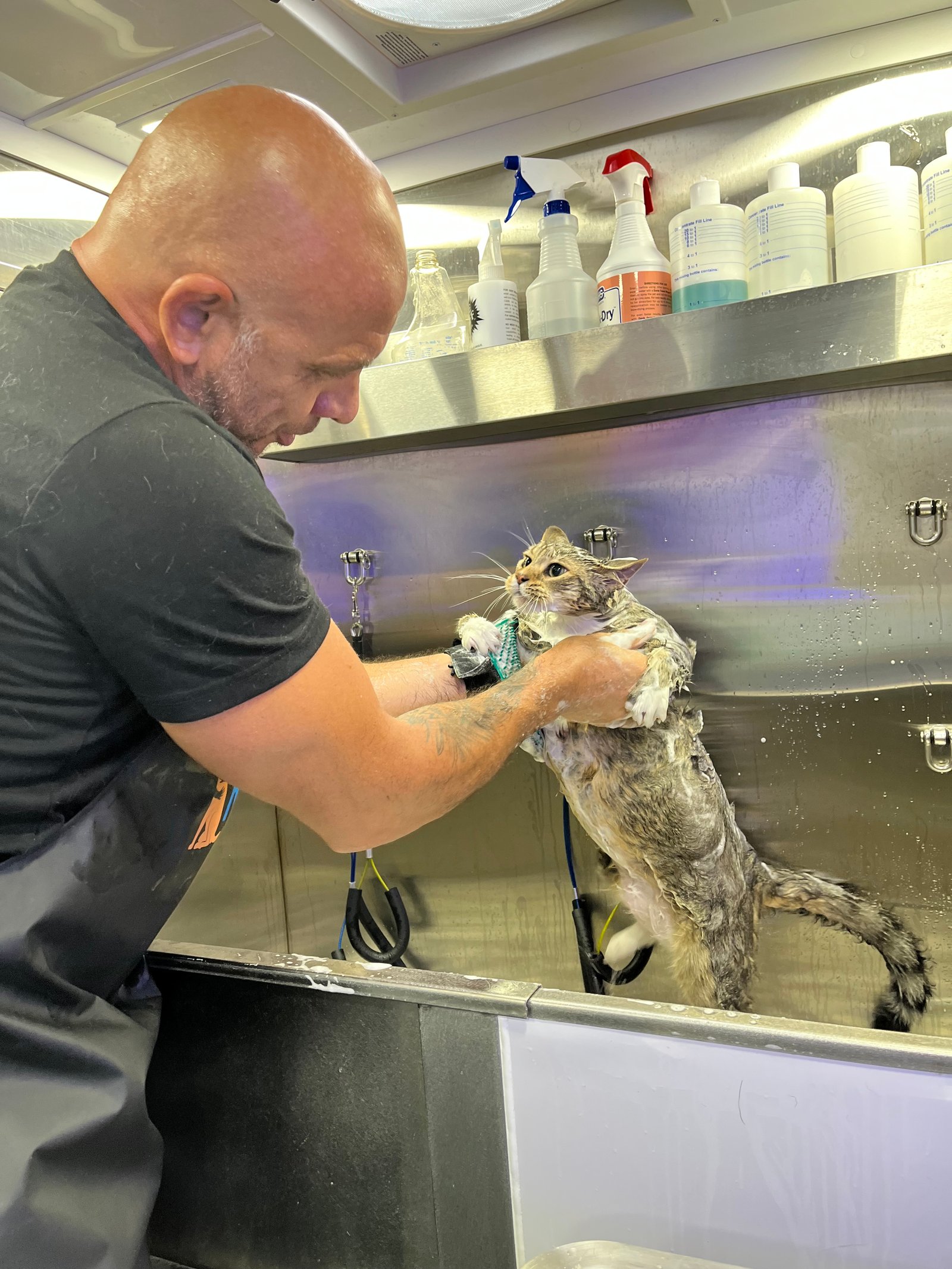 Resultado de grooming 8