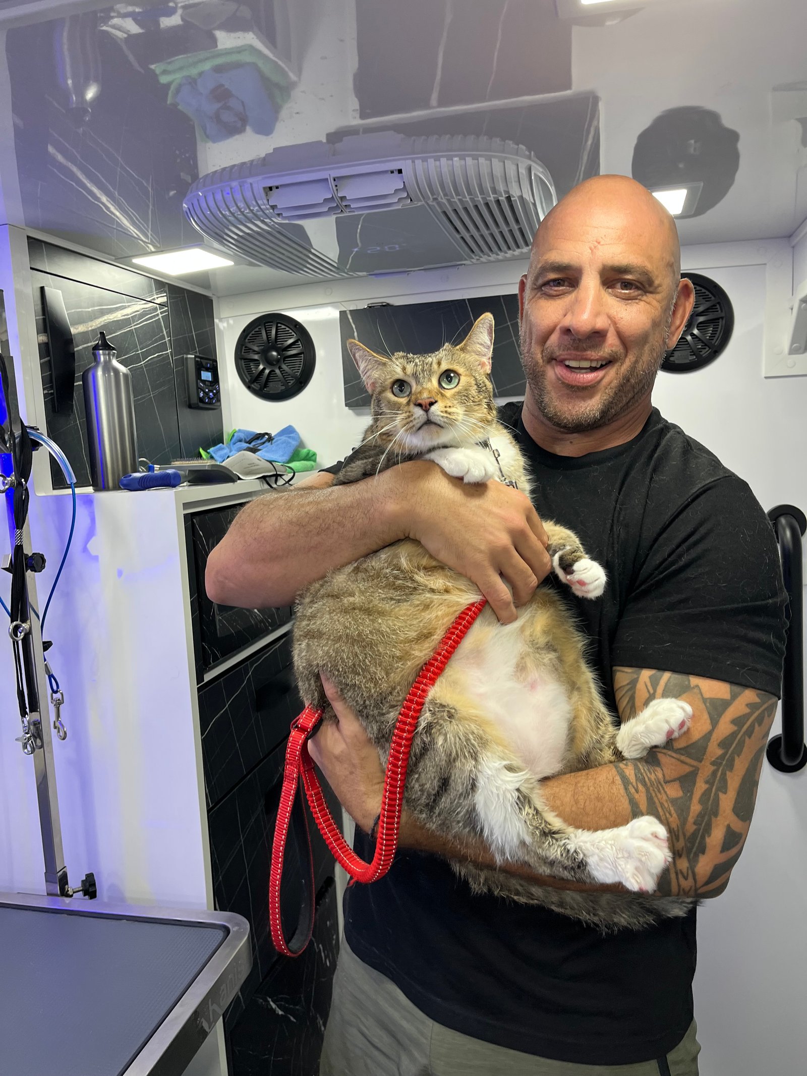 Resultado de grooming 9