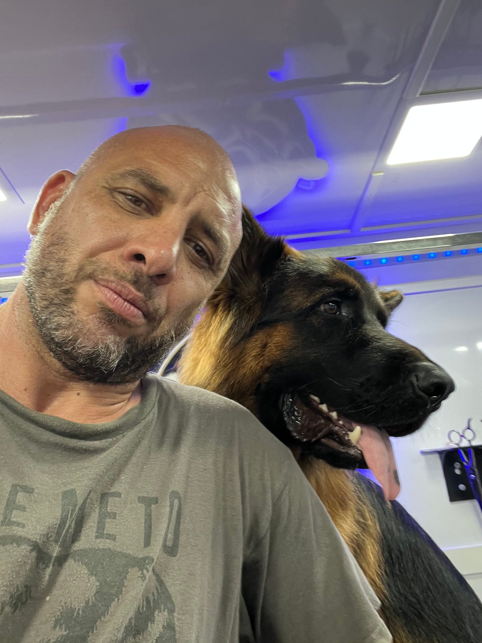 Resultado de grooming 11