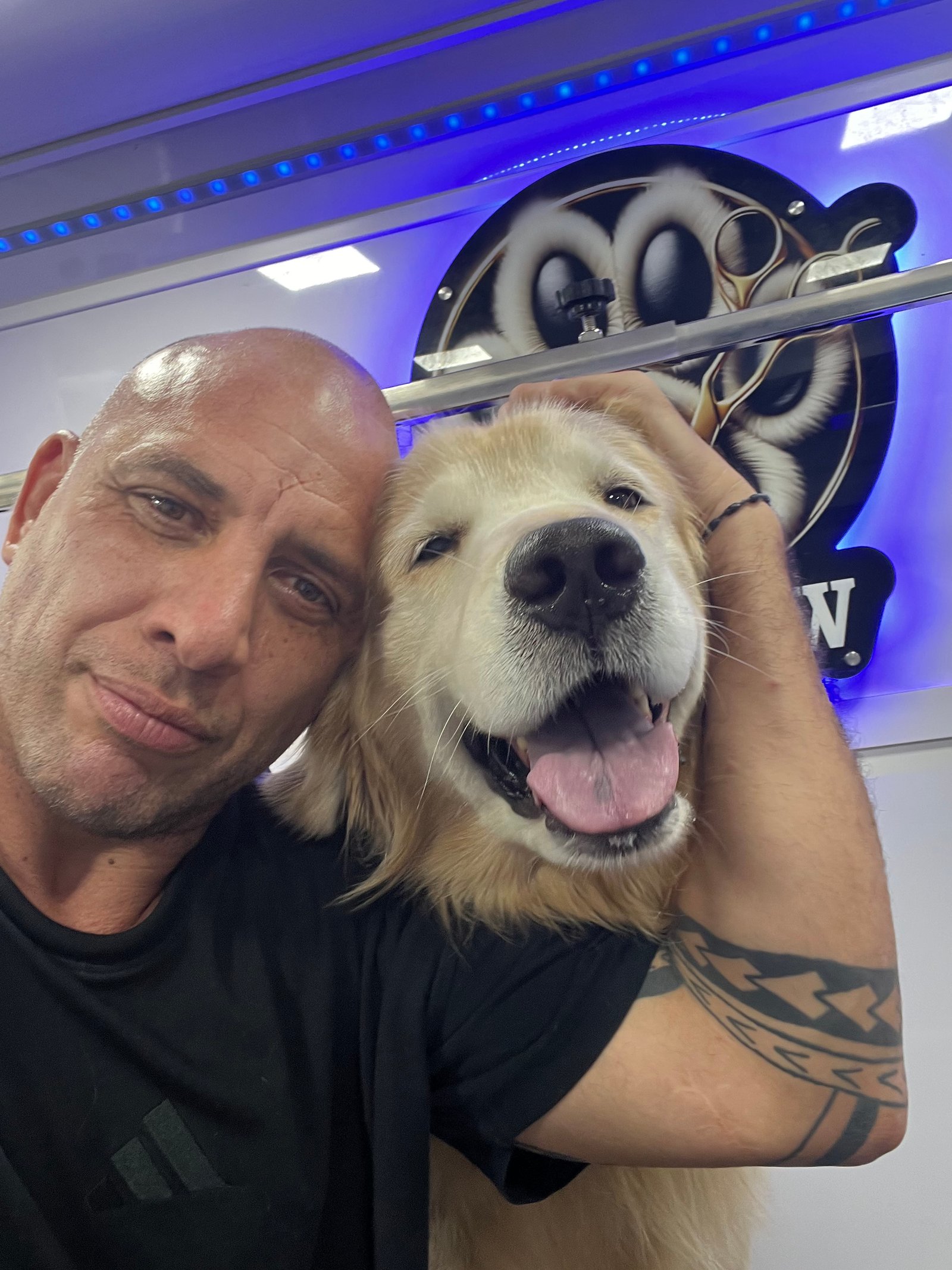 Resultado de grooming 12