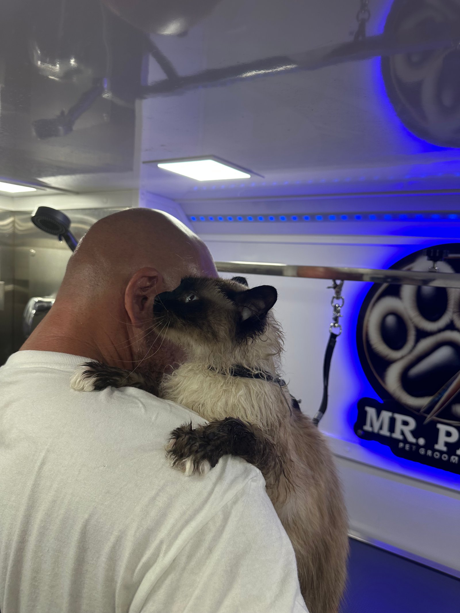 Resultado de grooming 21