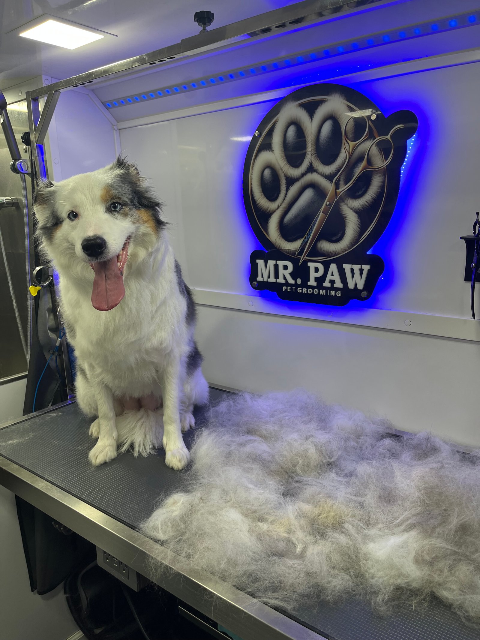 Resultado de grooming 5